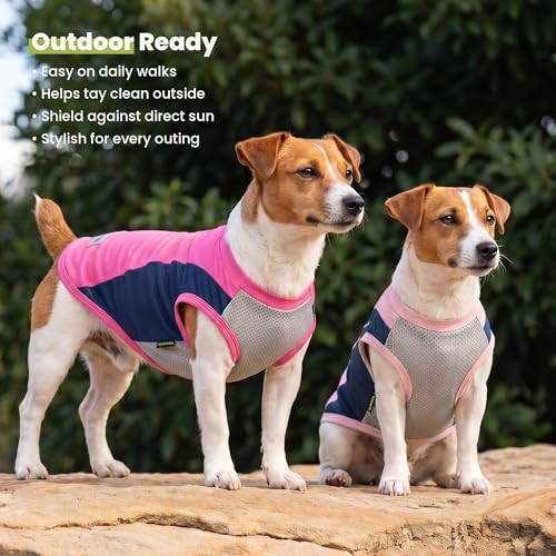 2 Pack UPF 50+ UV Sun Protection Dog Shirt (Small / Rose Red-Pink)