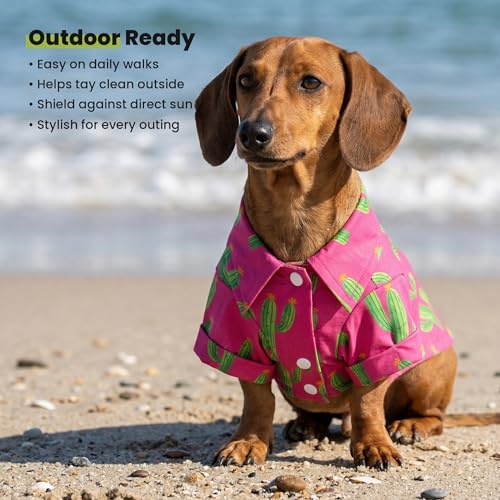 Cactus Hawaiian Dog Shirt (X-Small / Cactus)