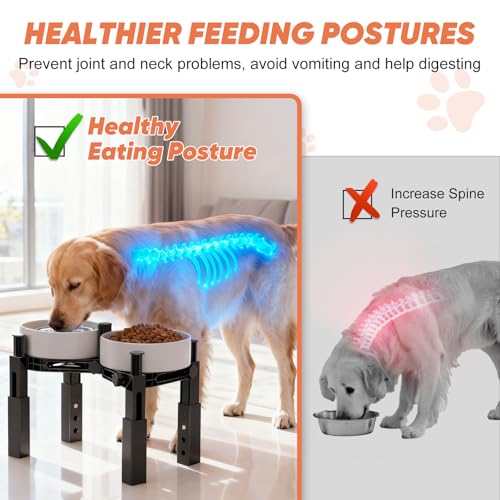 Dog Bowl Stand Elevated Food Water Bowl Holder for Large Medium Small Sized Dog (Bowl Stand-B)