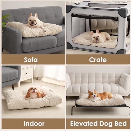 Washable XL Dog Beds Large Sized Dog (Beige / 44" x 32" x 4")