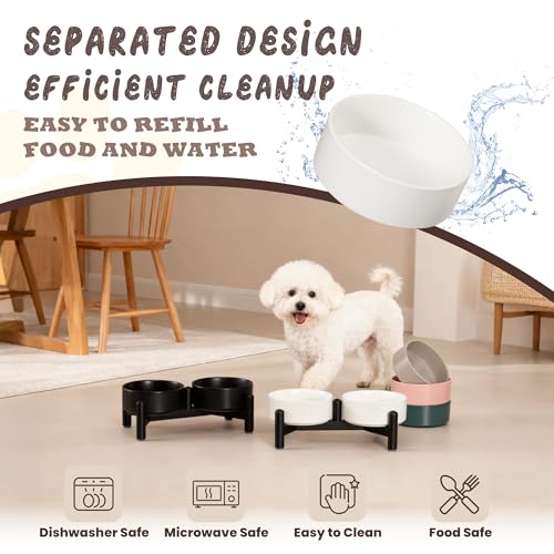 Raised Ceramic Dog Bowl Set with Stand (White / 2 Bowls - 1.6 Cups Each)