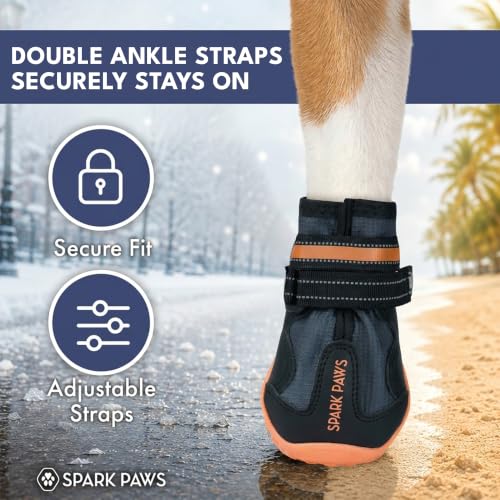 365 Dog Shoes (365 Black Orange / Size 6: 2.6"x2.95"(W*L) (Pack of 4))