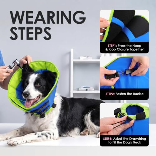 Soft Cone for Small Dogs (BlueGreen / Small)