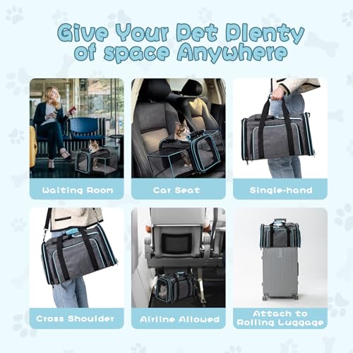 Expandable Dog and Cat Carrier