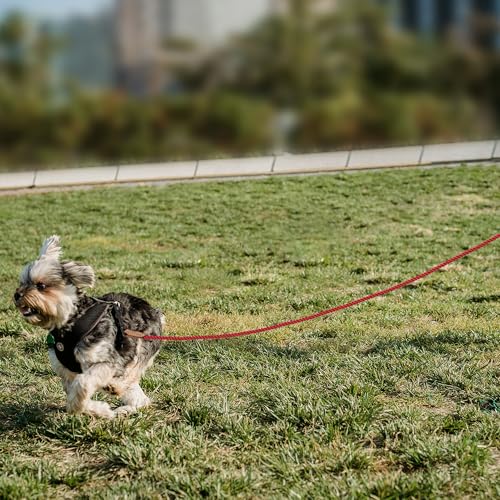 Dog Leash Braided Cotton Rope with Leather (Red / 72 Inch-1/3")