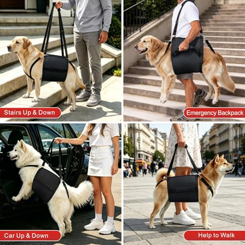 Rehab Dog Lift Harness (Black / Large)