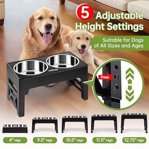 Elevated Dog Bowls (2 Stainless Steel Bowls / Black)
