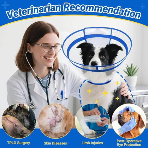 Dog Cone to Stop Licking (Blue / XL(Neck: 16.5"-20.5"))