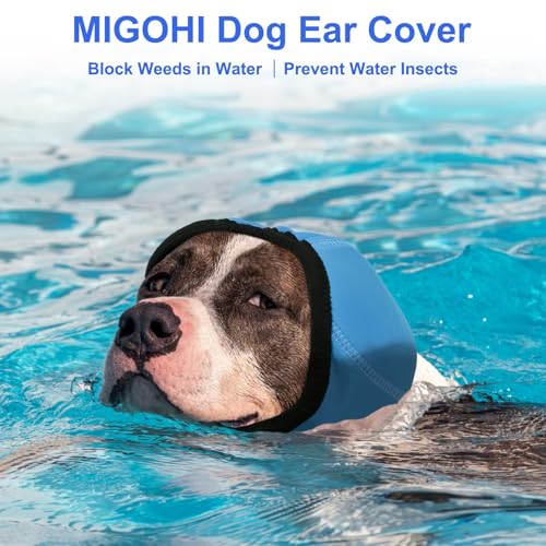Dog Ear Muffs Noise Protection (M / Lake Blue)