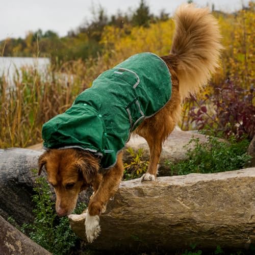 Dog Jacket Waterproof Raincoat with Breathable Interior (Large / Green)