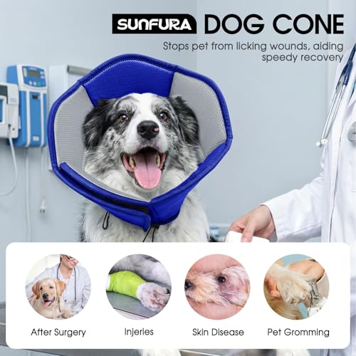 Dog Cone Soft Cone for Dogs to Stop Licking (Blue / Small)