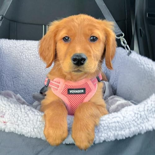 Voyager Adjustable Step (Harness Leash Set (Pink) / M)