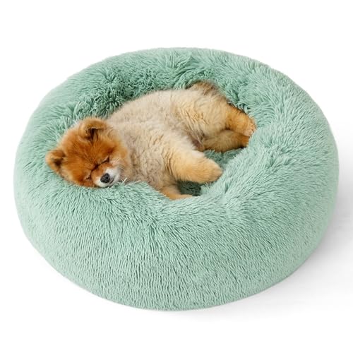 Calming Small Dog Bed Donut Washable Cat＆Puppy Bed (23"L x 23"W x 8"Th / Apple Green)