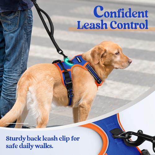 Dog Harness No Pull for Large Dogs with 2 Leash Clips (X-Large / Blue & Orange)