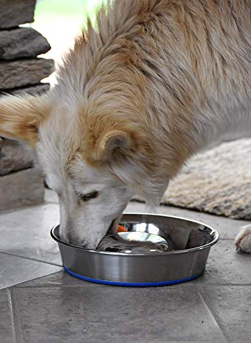 OurPet's DuraPet Slow Feed Stainless Steel Dog Bowl (Large (6 Cups))