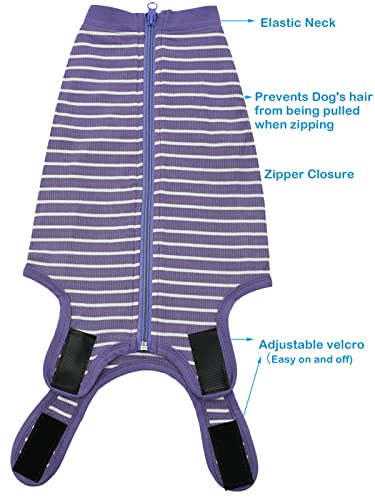 Dog Surgery Recovery Suit (XS(Back 8 - 10" Chest 12 - 14" Weight 4 - 8lb) / Purplewhite)