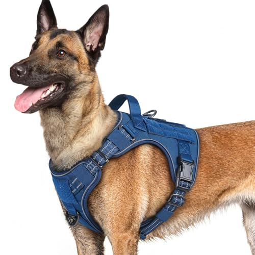 Tactical Dog Harness for Large Dogs (L(Chest:22"-37",Neck:21.1"-30.3",Back:8.3") / Blue)