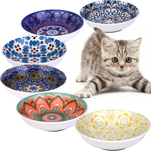 Ceramic Cat Food Bowls (Bohemian Colors)