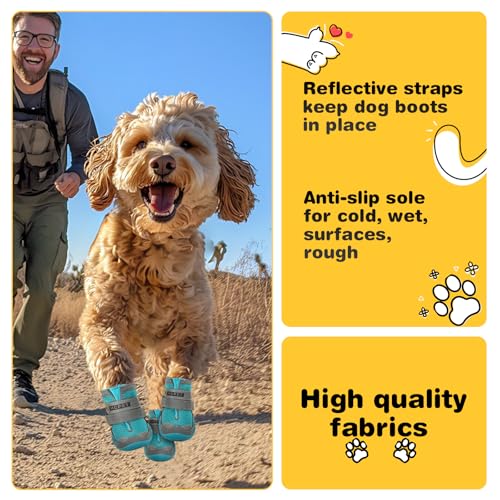 Dog Shoes for Dogs (Blue / Width 1.57 in)