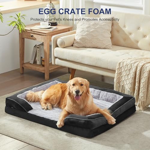 Orthopedic Supportive Large Dog Bed (42.0''l x 32.0''w x 6.5''th / Black)