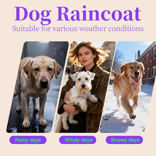 Dog Raincoat Waterproof Dog Rain Jacket with Detachable Hood (Green / Large (11-13Ibs))