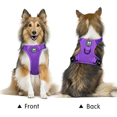 Mesh Dog Harness (XL / Purple)