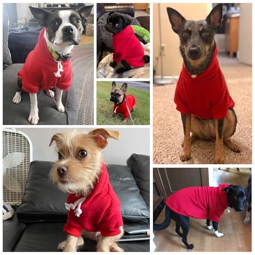 Dog Hoodie for Medium Dogs (#2 Red(Plain) / Medium (All Breed Sizes))