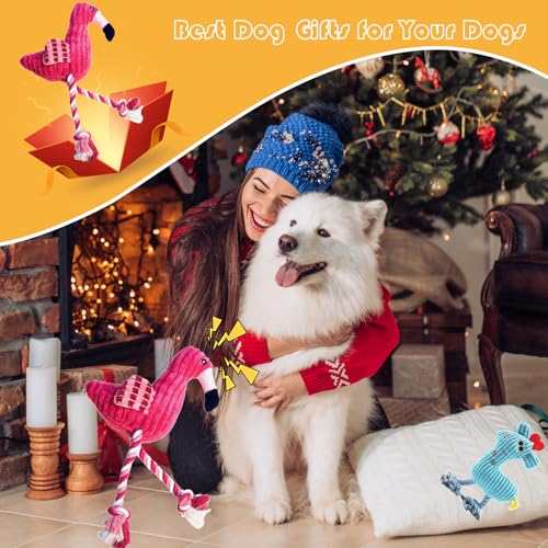2 Pack Plush Dog Toys with Rope