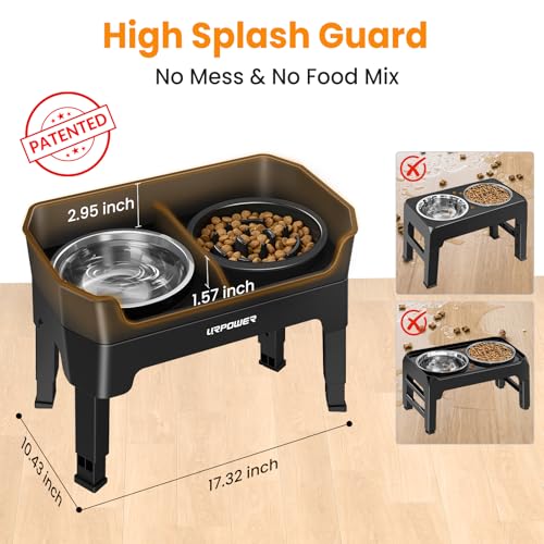 Mess Proof Elevated Dog Bowls Double Deck Slow Feeder (Jet Black / Large)