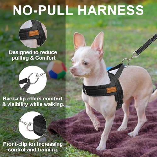 Small Dog Harness and Leash Set (Black / XS: Chest 15"-18")