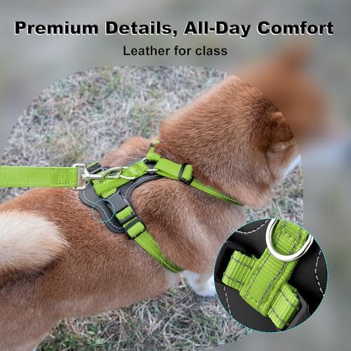 No Pull Dog Harness with Leather Accents (M / Green)