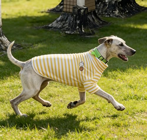 Turtleneck Dog Shirt Cute Doggie Embroidery Super Soft Dog Sweatshirt Stretchy Striped Puppy Pullover for Cats Small Medium Large Dogs (Yellow Striped / 6X-Large)