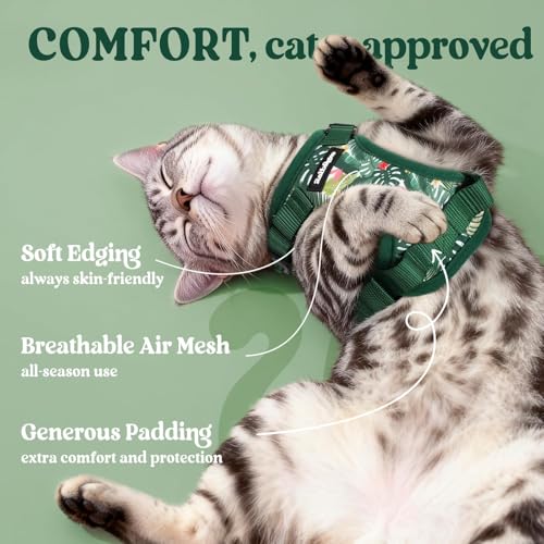Cat Harness and Leash Set (Xs / Rainforest Green)