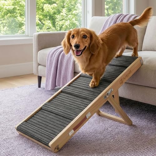 Dog Ramp for Small Dogs (Small)