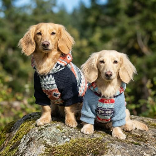 Classic Fleece Dog Hoodie (X-Small / Fair Isle)