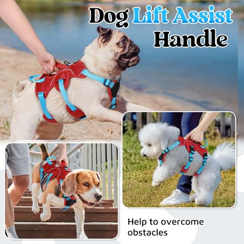 Escape Proof Dog Harness for Small (Sky Blue & Red / Small)