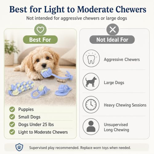 Dog Rope Toys for Puppies & Small Dogs (Blue)