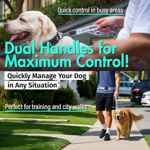 Hands Free Dog Leash (Aqua Blue)