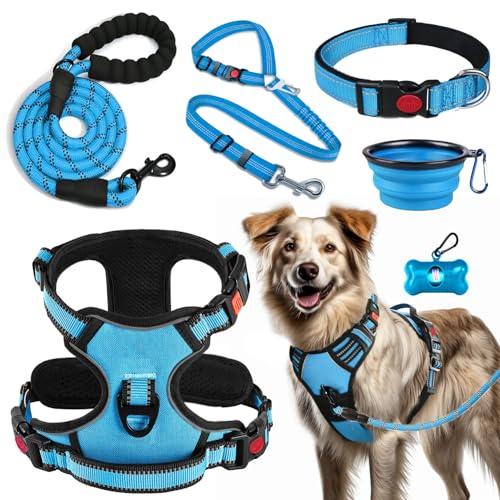 No Pull Dog Harness (X-Large / Blue)