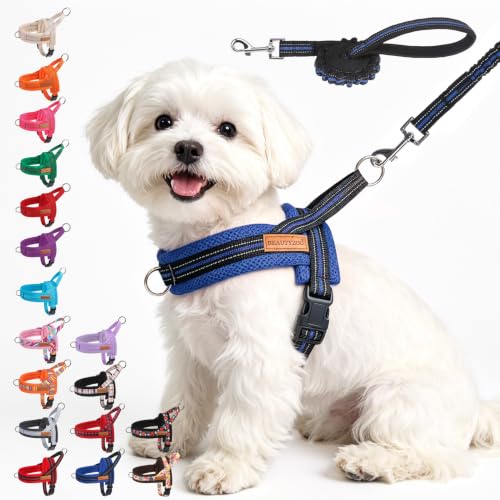 Small Dog Harness and Leash Set (Dark Blue / S: Chest 17.5"-22")