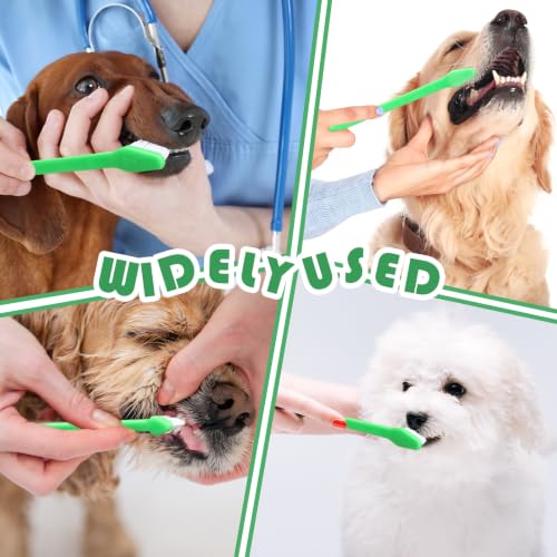 200 Count Dog Toothbrush Double Headed Long Handle Soft (Green)