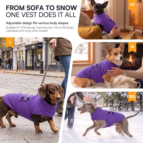 Dog Sweaters for Medium Dogs (Lavender / Medium)