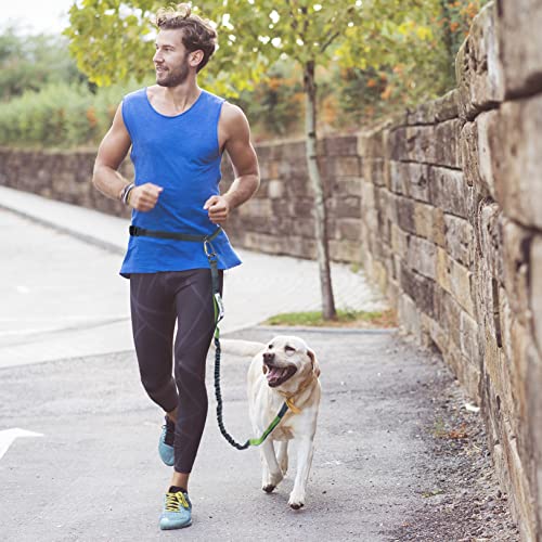 Hands Free Waist Leash for Dog Walking (Carabiner/Green)