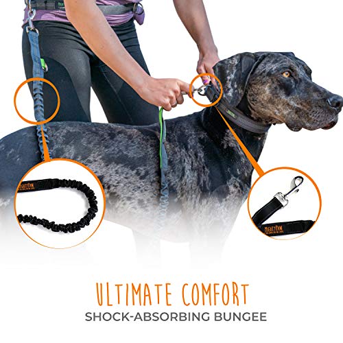 Hands Free Dog Leash (48" / Black)