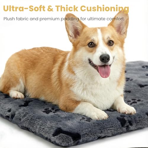 Pet Heating Pad for Cats Dogs Indoor & Sheltered Outdoor Waterproof Heated Cat Bed Heated Dog Bed Chew Resistant Cord Constant Temperature Electric Warming (Grey / Medium: 20" x 16" x 1.3")