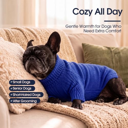 XXXL Dog Sweater (Sapphire Blue / XXX-Large)