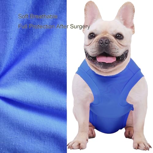 Dog Surgery Recovery Suit (3XL(Back 24-26" Chest 27-29" Weight 80-115lb) / Light Blue)