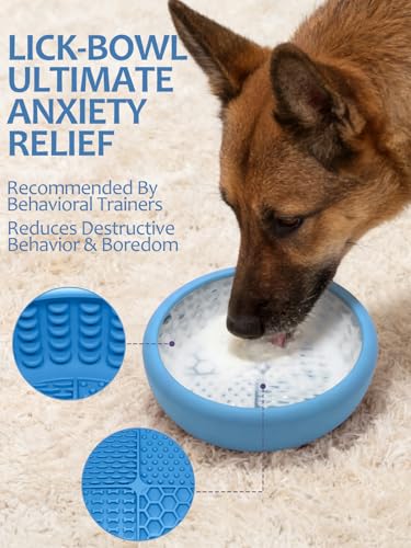 Dog Lick Bowl with Brush and Scraper (Light Blue / Small)