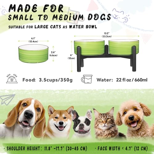 Ceramic Elevated Dog Bowl Set (Thread green / 3.5 Cups)