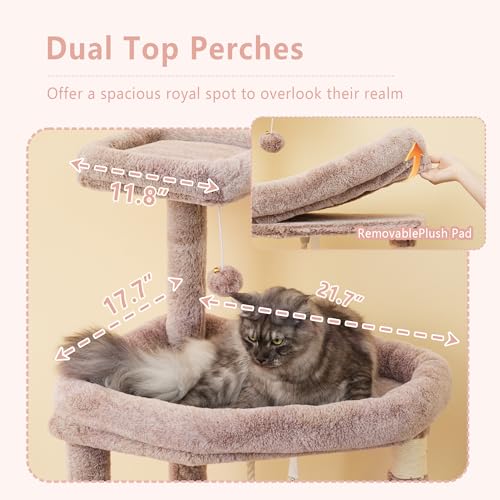 64.2" Heavy Duty Cat Tree for Large Cats with Wide Base HCT027MU (64.2 inch / Muchroom)